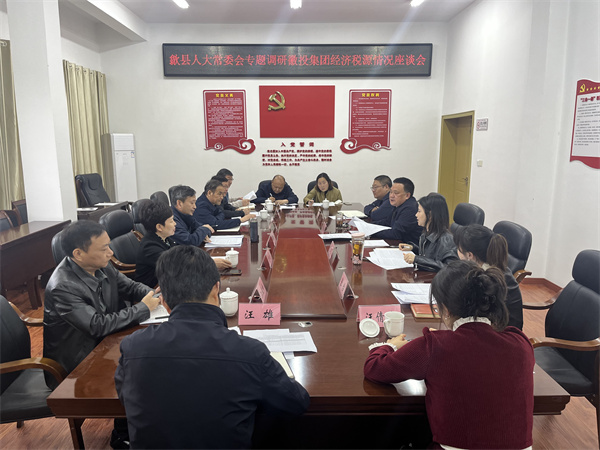 4月7日，縣人大常委會(huì)主任梅代軍帶隊(duì)專題調(diào)研徽投集團(tuán)經(jīng)濟(jì)稅源情況，集團(tuán)洪董、葉總、方總參加調(diào)研座談。.jpg