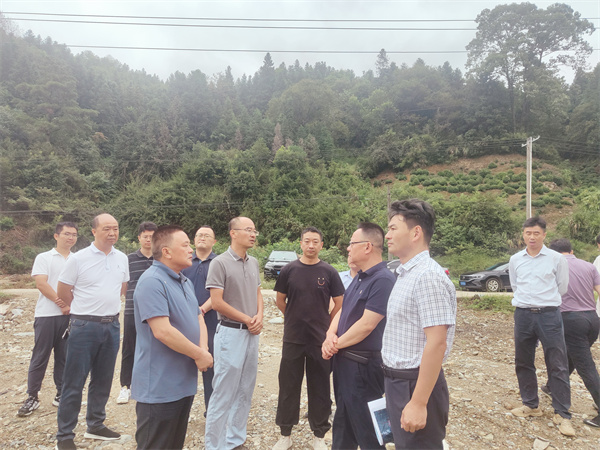 10月1日，洪董，余總陪同汪凱書記一行到紹濂鄉(xiāng)清溪村調(diào)研.jpg