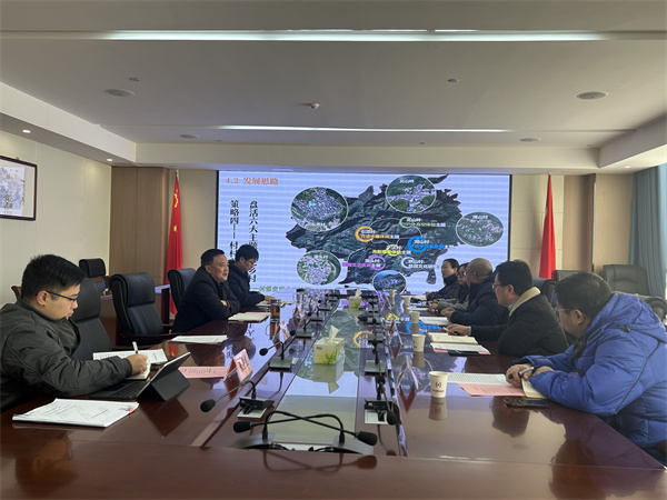 12月19日，安徽寶坤文旅集團(tuán)赴徽投集團(tuán)調(diào)研石潭村精品示范村建設(shè)運(yùn)營(yíng)情況，洪董，吳書(shū)記陪同調(diào)研。.jpg
