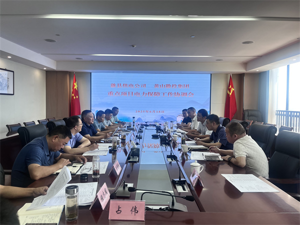 6月18日，歙縣供電公司總經(jīng)理張杰帶隊(duì)赴集團(tuán)就重點(diǎn)項(xiàng)目電力保障工作進(jìn)行座談交流，洪董、潘總、余總、張總，市政、逸寧等單位參加座談。.jpg