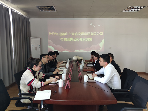 4月21日，集團(tuán)黨委委員、常務(wù)副總經(jīng)理，公司董事長(zhǎng)兼總經(jīng)理方亮帶隊(duì)赴黟縣考察“黟品五黑”區(qū)域公用品牌運(yùn)營(yíng)推廣機(jī)制和“五黑”農(nóng)業(yè)特色產(chǎn)業(yè)發(fā)展情況.jpg