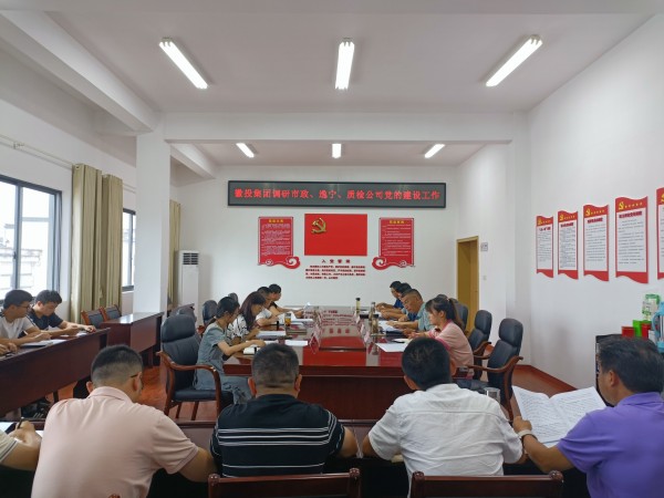 洪董帶隊調(diào)研市政公司、逸寧公司和質(zhì)檢公司黨的建設(shè)工作.jpg
